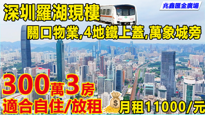 深圳羅湖現樓關口物業